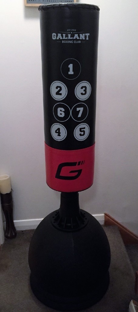 delta bolsagage fees for international flights